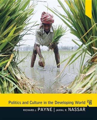 Book cover for Politics and Culture in the Developing World