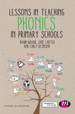Book cover for Lessons in Teaching Phonics in Primary Schools