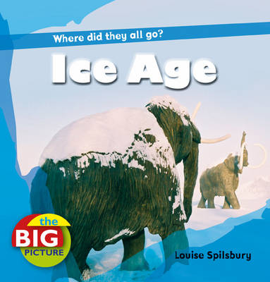 Book cover for Ice Age