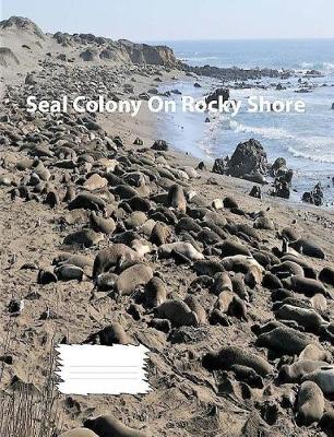 Book cover for Seal Colony On Rocky Shore wideruledlinepaper Composition Book