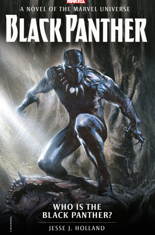 Cover of Who is the Black Panther?