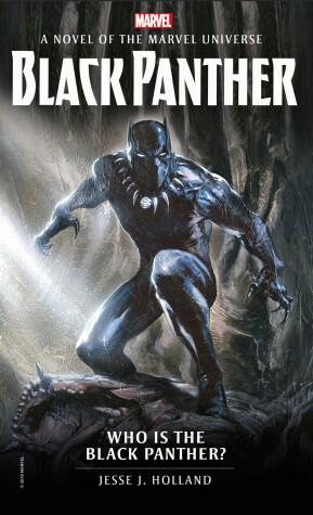 Book cover for Who is the Black Panther?