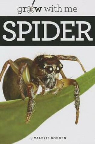 Cover of Spider