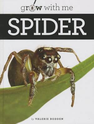 Cover of Spider