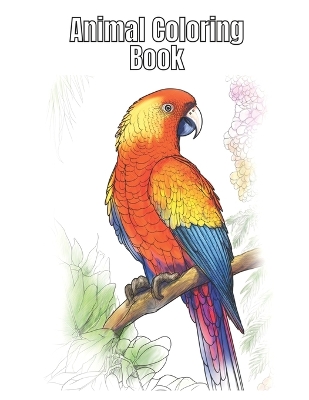 Book cover for Animal Coloring Book