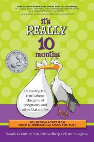 Cover of It's Really 10 Months