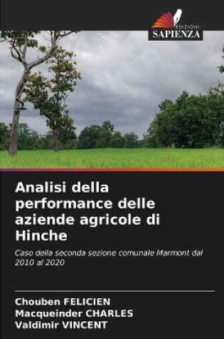 Cover of Analisi della performance delle aziende agricole di Hinche