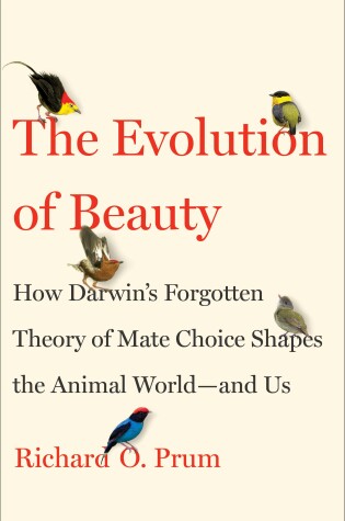 Cover of Evolution of Beauty