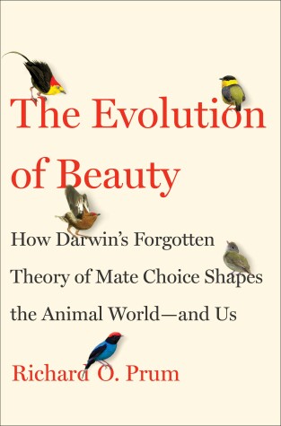 Book cover for Evolution of Beauty