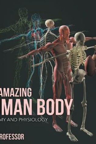 Cover of The Amazing Human Body Anatomy and Physiology