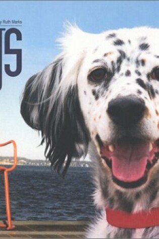 Cover of Dogs of Madison