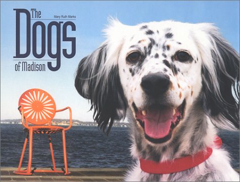 Book cover for Dogs of Madison