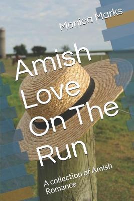 Book cover for Amish Love On The Run