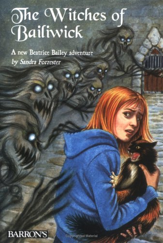 Book cover for The Witches of Bailiwick