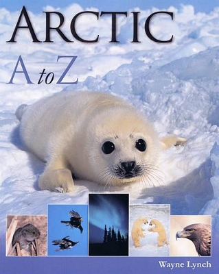 Book cover for Arctic A to Z