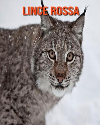 Book cover for Lince rossa