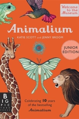Cover of Animalium (Junior Edition)