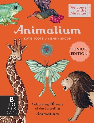 Cover of Animalium (Junior Edition)