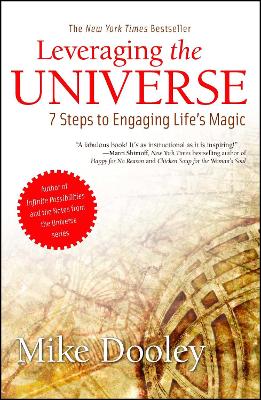 Book cover for Leveraging the Universe