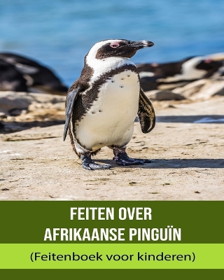 Book cover for Feiten over Afrikaanse pinguïn (Feitenboek voor kinderen)
