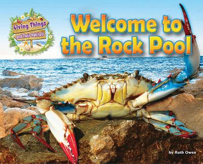 Book cover for Welcome to the Rock Pool