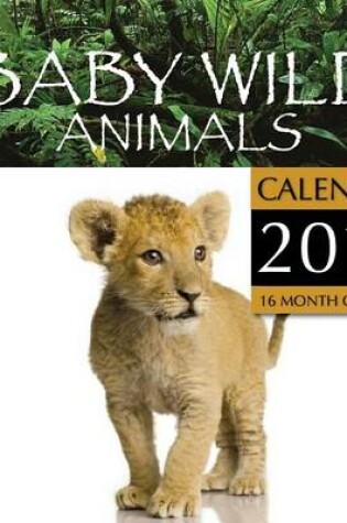 Cover of Baby Wild Animals Calendar 2015