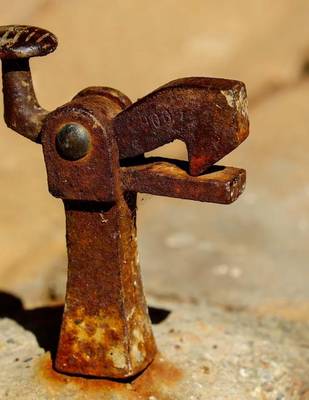 Book cover for Jumbo Oversized Vintage Rusted Old Doorstop