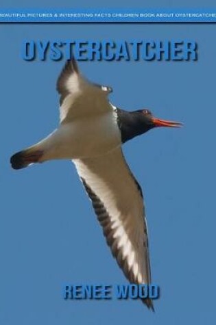 Cover of Oystercatcher