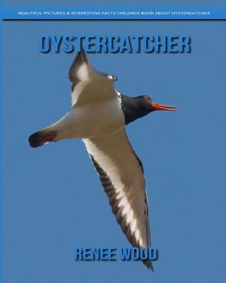Book cover for Oystercatcher