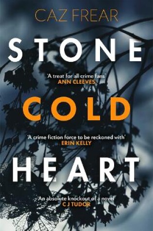 Cover of Stone Cold Heart