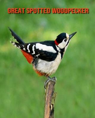 Book cover for Great Spotted Woodpecker