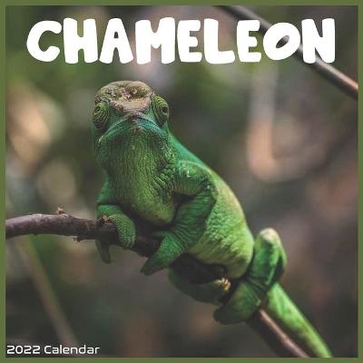 Book cover for Chameleon 2022 Calendar