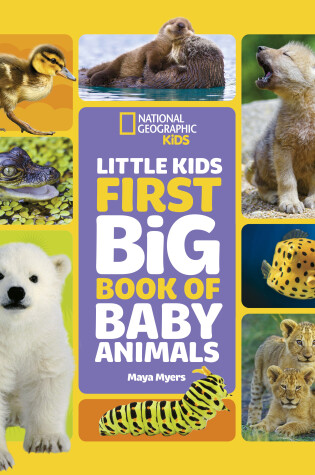 Cover of Little Kids First Big Book of Baby Animals