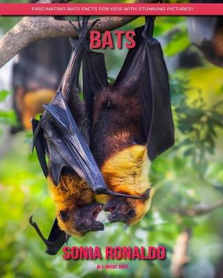 Book cover for All About Bats