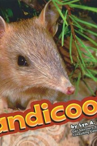 Cover of Bandicoots