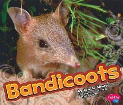 Book cover for Bandicoots
