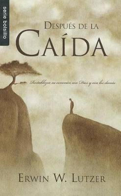 Book cover for Despues de la Caida