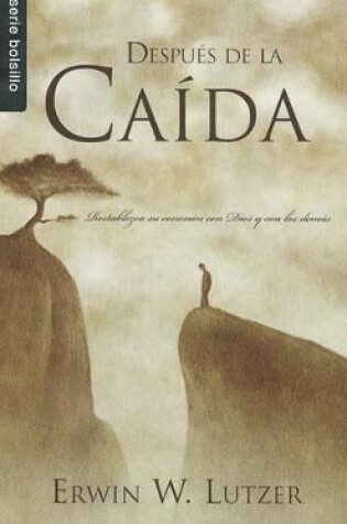 Cover of Despues de la Caida