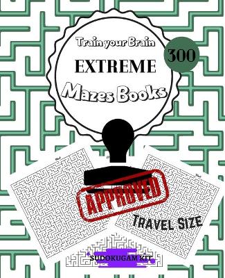 Book cover for Train Your Brain EXTREME Mazes Book 300