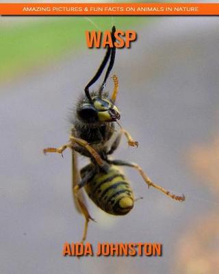 Book cover for Wasp