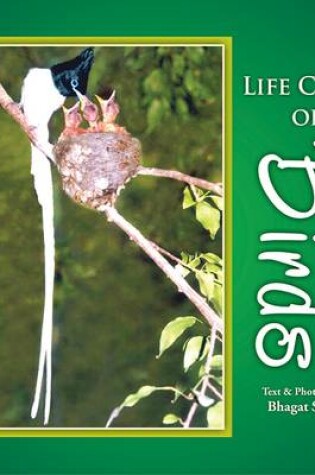 Cover of Life Cycle of Birds