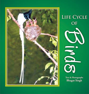 Book cover for Life Cycle of Birds