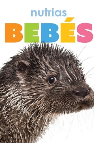 Cover of Nutrias Bebés