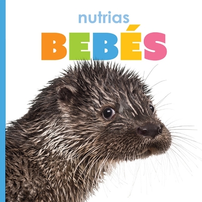 Book cover for Nutrias Bebés