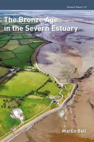 Cover of The Bronze Age in the Severn Estuary