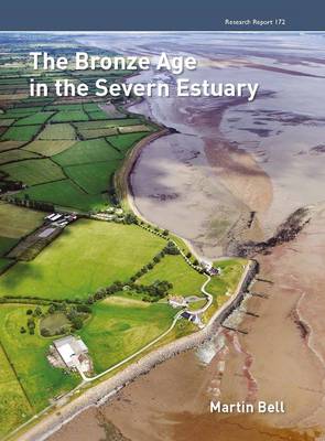 Book cover for The Bronze Age in the Severn Estuary