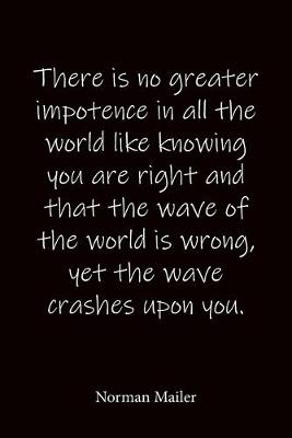 Book cover for There is no greater impotence in all the world like knowing you are right and that the wave of the world is wrong, yet the wave crashes upon you. Norman Mailer