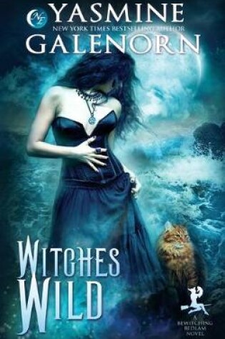 Cover of Witches Wild