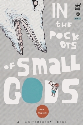 Book cover for In the Pockets of Small Gods