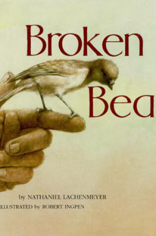Cover of Broken Beaks